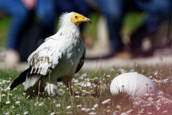 Espace Rambouillet