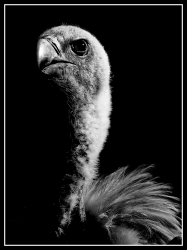 DSC_0793_DxO_DxO_DxO