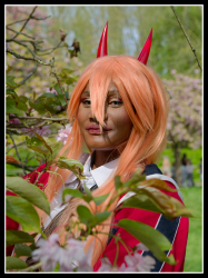 Hanami