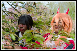 Hanami
