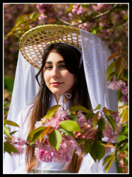 Hanami