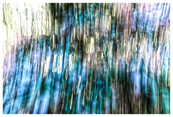 DSC_1031_DxO
