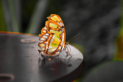 IMG JBP 2023_06_01 _104